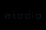 Previous company